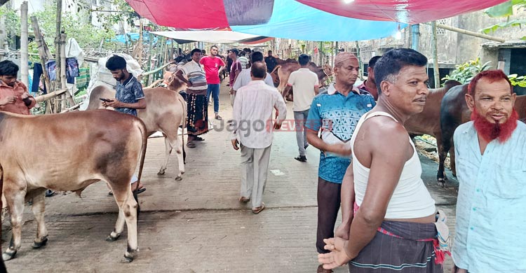 পশুর হাটে ক্রেতা কম, দাম ছাড়ছেন না বিক্রেতারা
