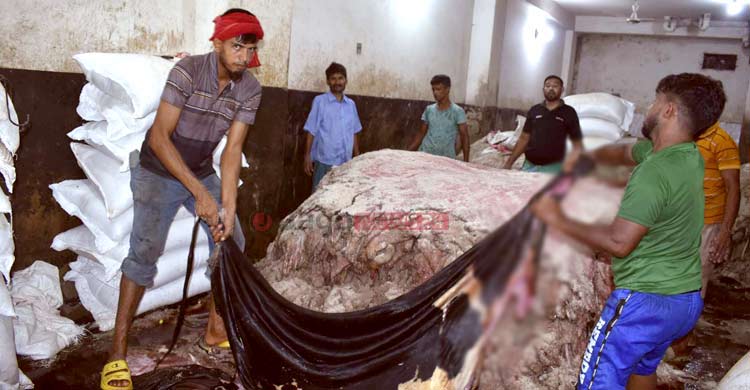 কেনা হবে ১ কোটি চামড়া, এবারও দাম পাওয়া নিয়ে শঙ্কা