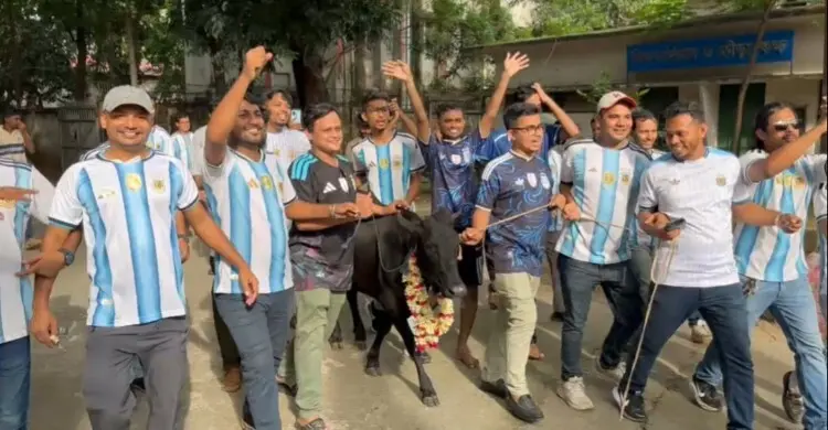 ঢাকা কলেজে আর্জেন্টিনা সমর্থকদের ‘মেগা গরু ভোজ’