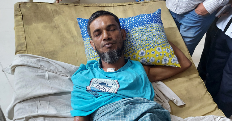 পাখির ছানা শিকারে বাধা দেওয়ায় সাংবাদিকের ওপর হামলা