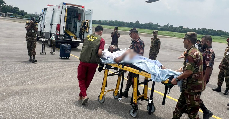 হাতিকে চিকিৎসা দিতে গিয়ে চিকিৎসকসহ আহত ১৫