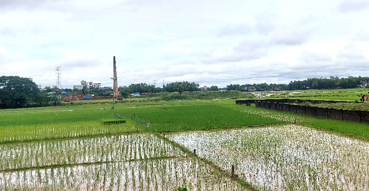 ঢলের পানিতে চকরিয়ায় কিশোরের মৃত্যু, বৃষ্টি কমলেও কমেনি দুর্ভোগ