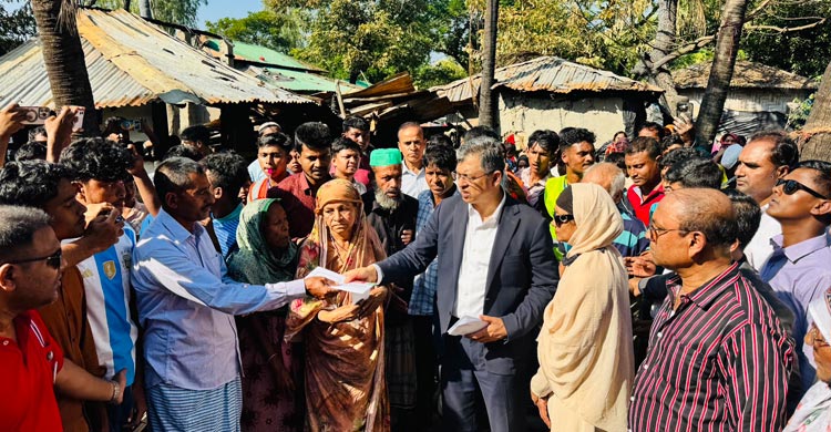 বিএনপির ইশতেহার হবে গণমানুষের মুক্তির সনদ: সালাহউদ্দিন আহমদ