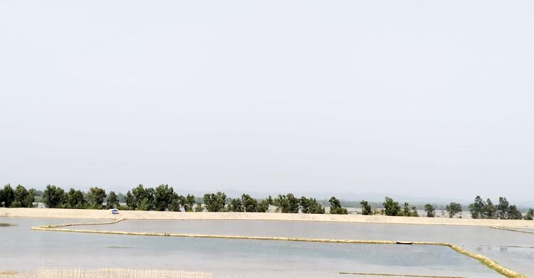 ফের বিকট শব্দে কাঁপছে টেকনাফ সীমান্ত