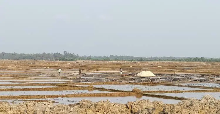 এবারো ঈদের আমেজ নেই অর্ধলাখ লবণচাষির পরিবারে