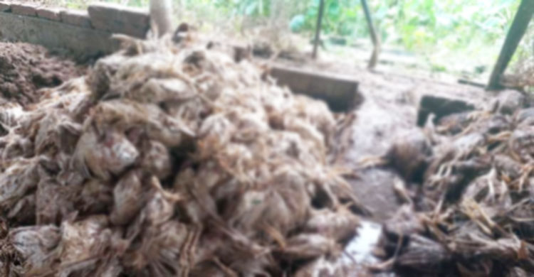 ঢলের পানিতে চকরিয়ায় কিশোরের মৃত্যু, বৃষ্টি কমলেও কমেনি দুর্ভোগ