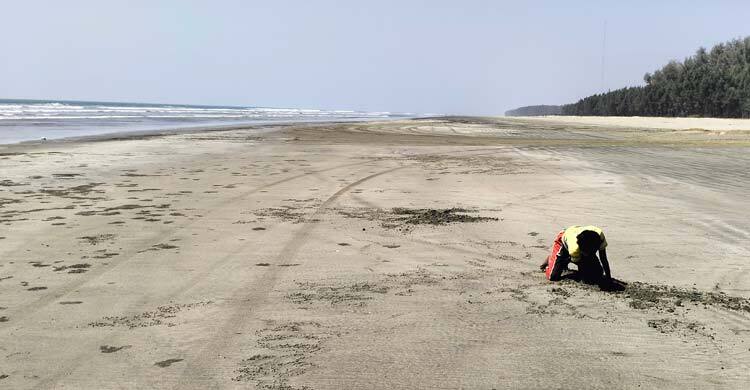 বর্জ্য-দূষণে হুমকির মুখে লাল কাঁকড়া বিচ