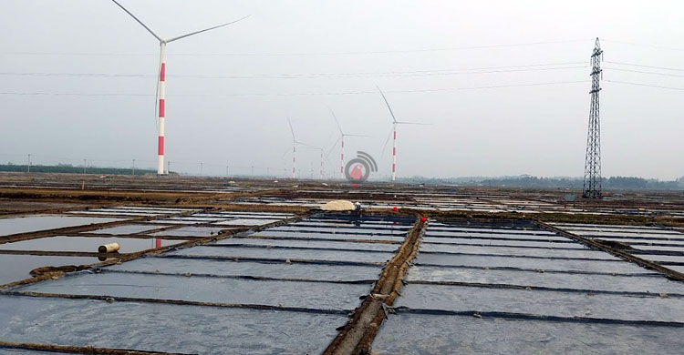 উৎপাদন খরচও উঠছে না লবণ চাষিদের