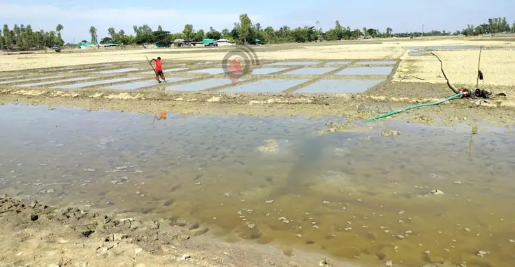 গর্তে সাড়ে ৩ লাখ মেট্রিক টন লবণ, মাঠে নামতে অনাগ্রহী চাষিরা