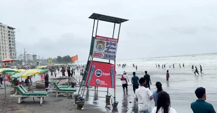 জোয়ারে বেলাভূমি ভেঙে উপড়ে পড়ছে ঝাউবন