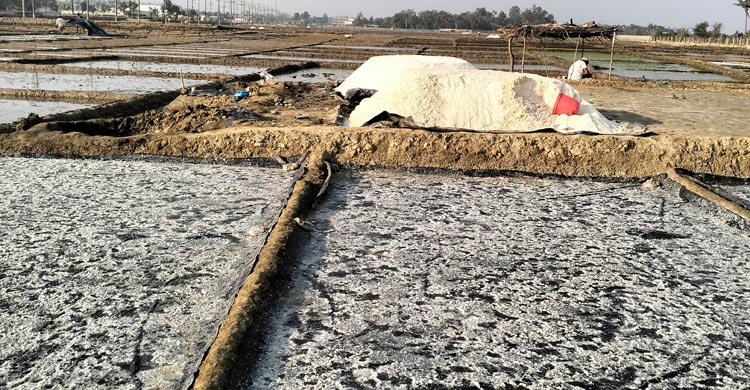 লবণ বিতরণের মহৎ উদ্যোগে জল ঢালছে স্বজনপ্রীতি