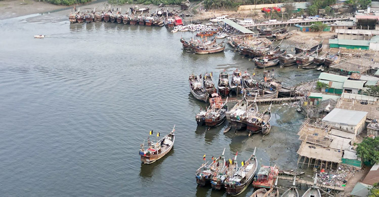 কক্সবাজারে ত্রিমুখী সংকটে মৎস্য খাত, সাগরে যাচ্ছে না শত শত ট্রলার