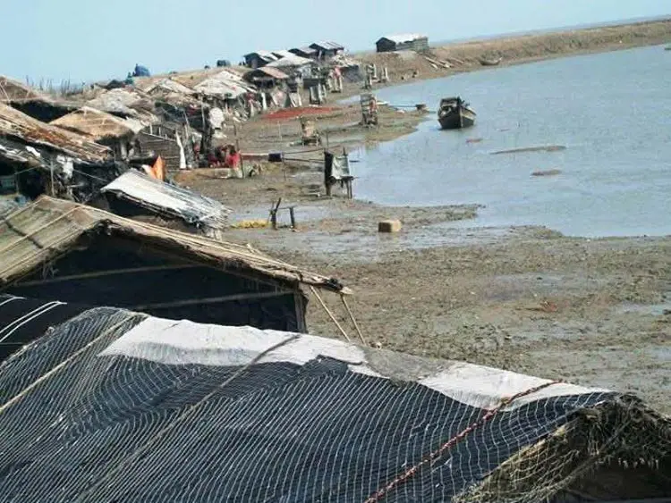 বৃষ্টিতে তলিয়ে গেছে হাওরের ৩ হাজার হেক্টর ধানের জমি