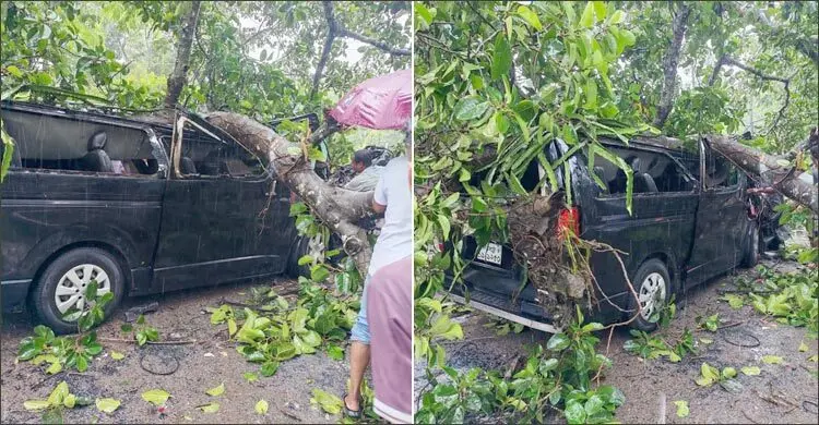 ভারী বৃষ্টিতে মাইক্রোবাসের ওপর ভেঙে পড়লো গাছ, আহত ৩