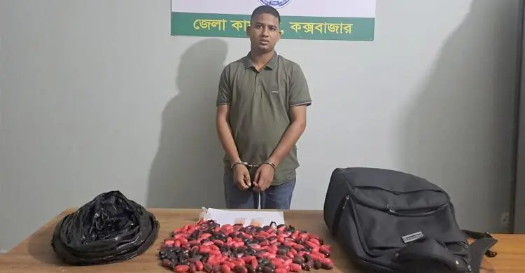 শিক্ষার্থীর ছদ্মবেশে ইয়াবা পাচারের চেষ্টা, ডিএনসির জালে যুবক