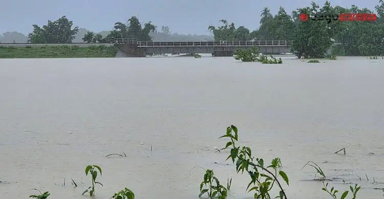 পাহাড়ি ঢল-বৃষ্টিতে বিপর্যস্ত কক্সবাজার