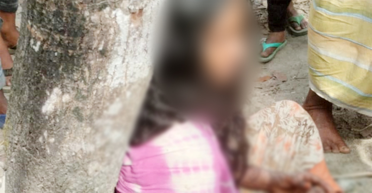 কিশোরীকে গাছে বেঁধে নির্যাতন