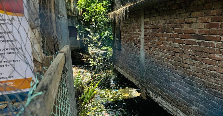 মিরসরাইয়ে খাল দখল মুক্তের দাবিতে বিক্ষোভ