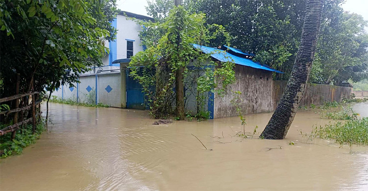 টানা বর্ষণে মিরসরাইয়ের নিম্নাঞ্চল প্লাবিত, পানিবন্দি মানুষ