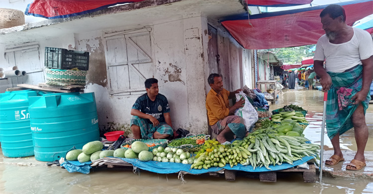টানা বর্ষণে মিরসরাইয়ের নিম্নাঞ্চল প্লাবিত, পানিবন্দি মানুষ