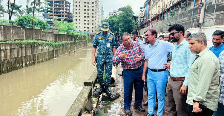 আরও প্রশস্ত করে পুনর্নির্মাণ করা হবে অক্সিজেন সেতু