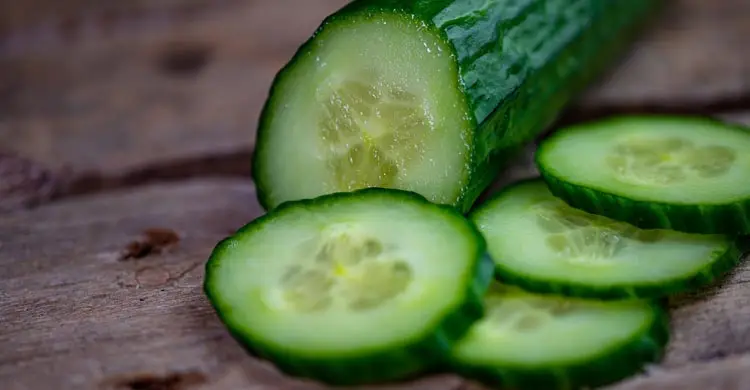 শীতেও শসা খাওয়া নিরাপদ, জানুন সঠিক নিয়ম