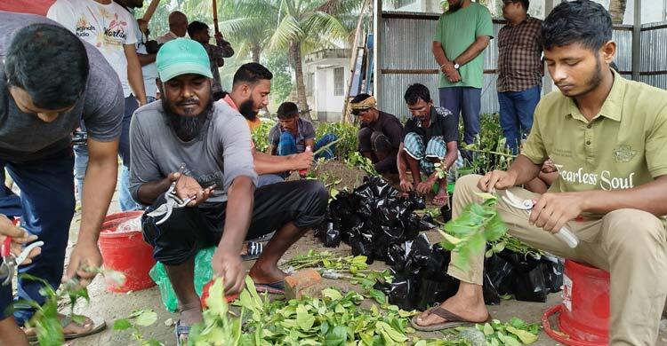 বিনামূল্যে দেড় লাখ লেবুর চারা পাবেন শিক্ষার্থীরা