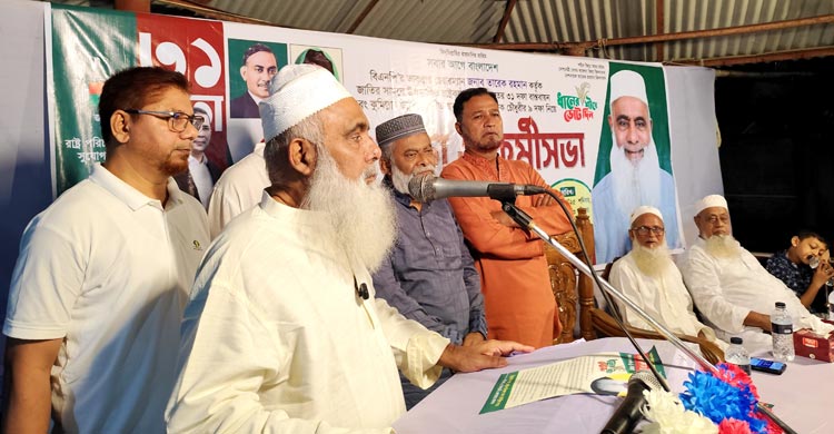 বিএনপির ৩১ দফাই আধুনিক বাংলাদেশের রূপরেখা: মনিরুল হক চৌধুরী