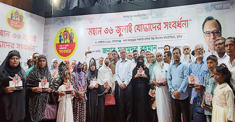 আপনারা কাঁদবেন না, গর্ব করবেন: শহীদ পরিবারকে মাহমুদুর রহমান