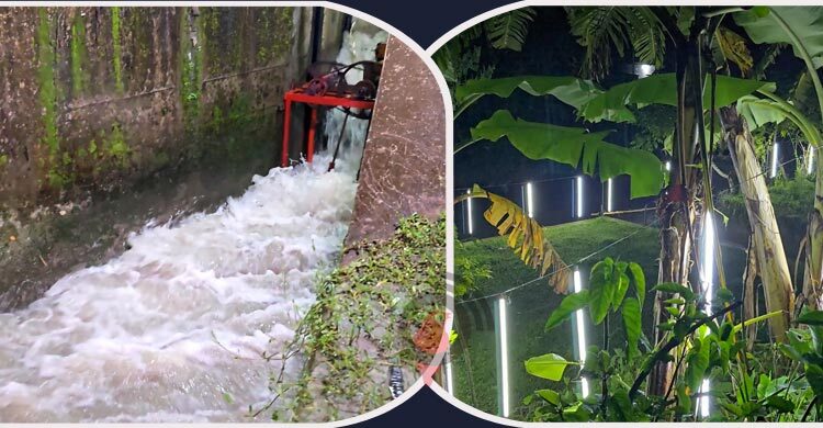 মনিরুলের বিশেষ যন্ত্রে জ্বলে অর্ধশতাধিক বাতি