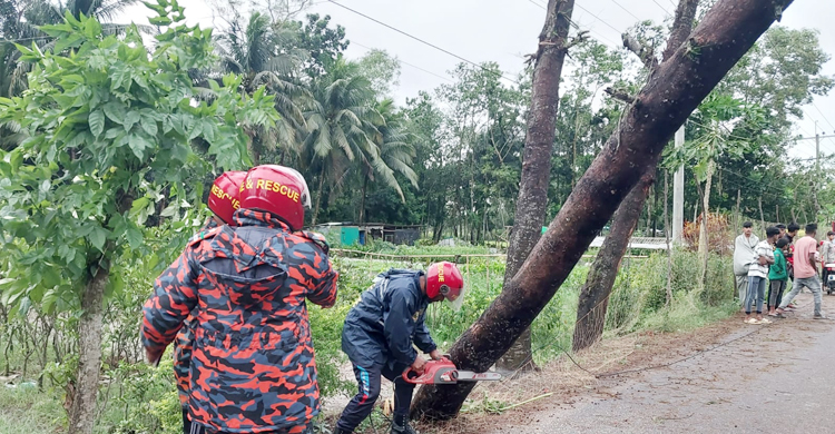 নোয়াখালীতে ২১২ ঘরবাড়ি বিধ্বস্ত