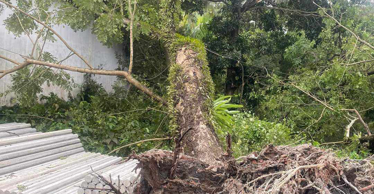 নোয়াখালীতে ২১২ ঘরবাড়ি বিধ্বস্ত