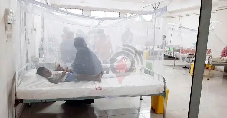 ডেঙ্গুতে ৫ জনের মৃত্যু, হাসপাতালে ভর্তি হাজারের বেশি