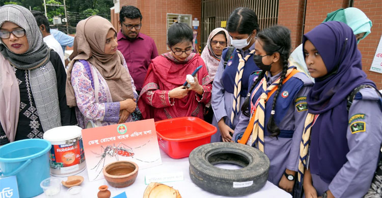 ডেঙ্গুর ঝুঁকিপূর্ণ ওয়ার্ডে ডিএনসিসির মশক নিধন অভিযান শুরু