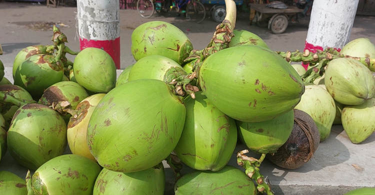 ‘ডাবে দুই ঢোক পানি, দাম ১০০ টাকা’