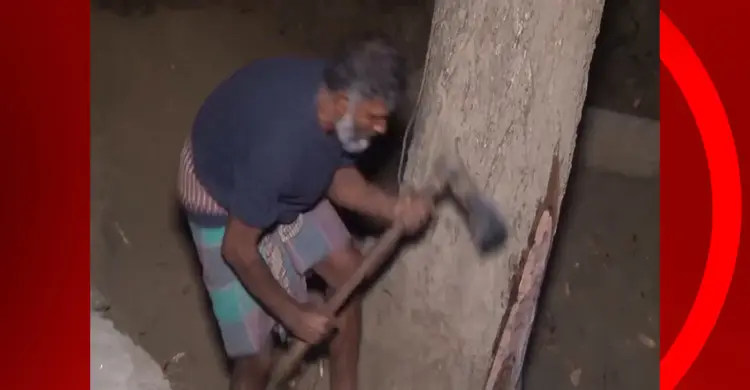 মাগুরায় গভীর রাতে গাছ চুরির সময় হাতেনাতে আটক ৩ জন