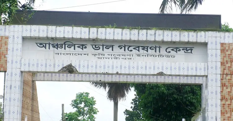 ডাল গবেষণা কেন্দ্রে কাজ না করেই টাকা আত্মসাতের অভিযোগ