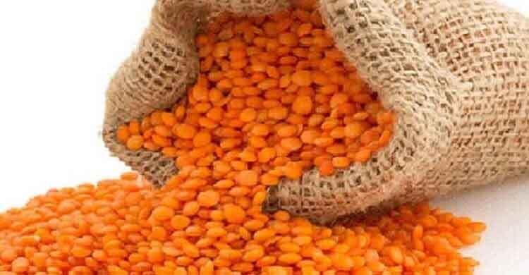 ১০ হাজার টন মসুর ডাল কিনছে সরকার