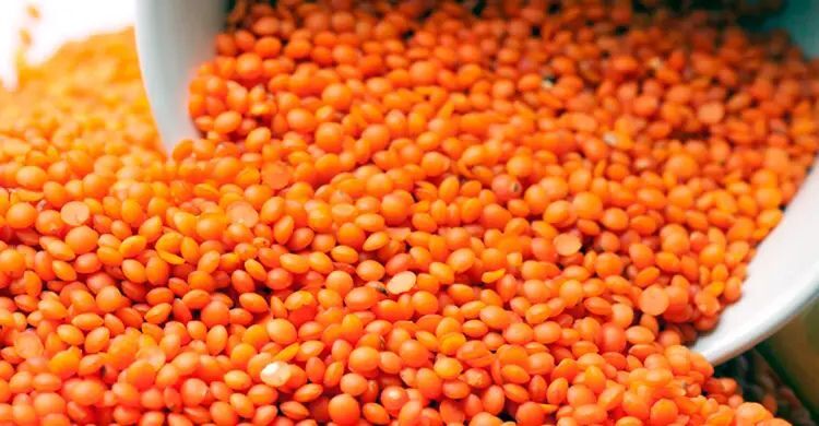 ১০ হাজার মেট্রিক টন মসুর ডাল কিনছে সরকার