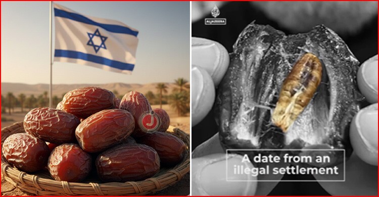 ইসরায়েলি খেজুর চিনবেন কীভাবে?
