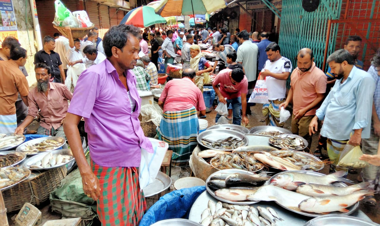 জল হারালে জীবন হারায়, মাছের ভরা বাজারে শূন্যতার গল্প
