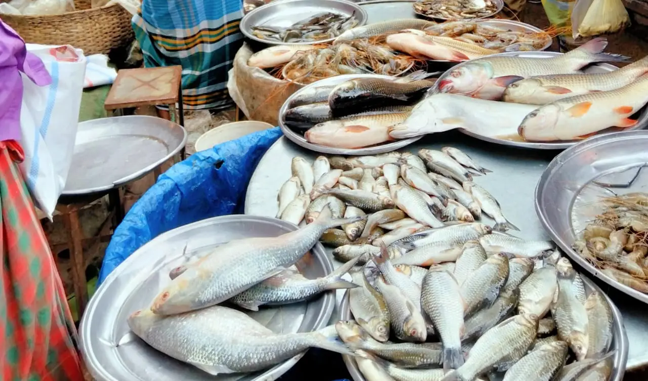 জল হারালে জীবন হারায়, মাছের ভরা বাজারে শূন্যতার গল্প