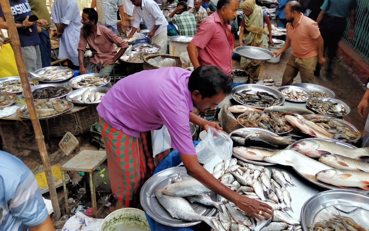 জল হারালে জীবন হারায়, মাছের ভরা বাজারে শূন্যতার গল্প