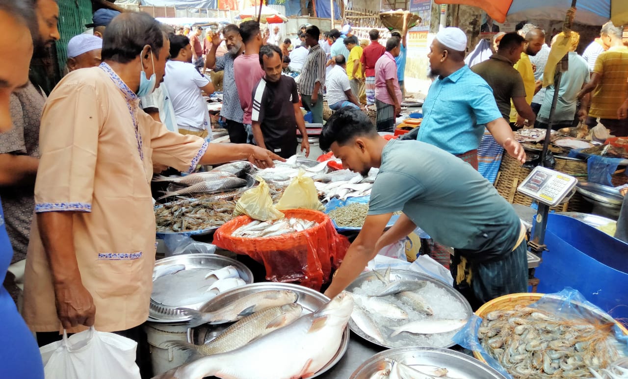 জল হারালে জীবন হারায়, মাছের ভরা বাজারে শূন্যতার গল্প