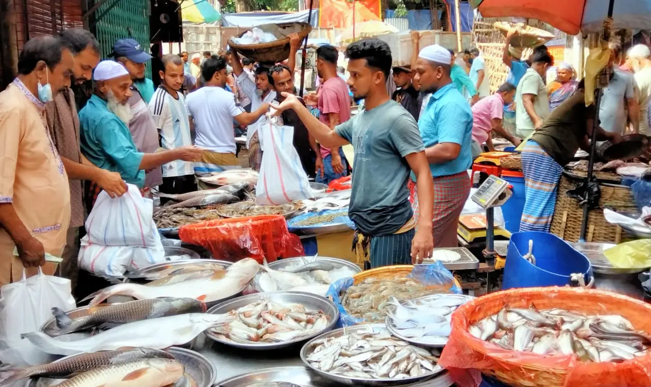 জল হারালে জীবন হারায়, মাছের ভরা বাজারে শূন্যতার গল্প