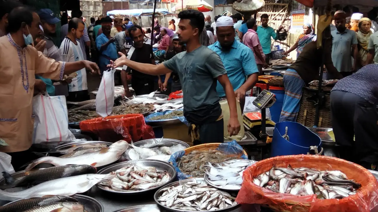 জল হারালে জীবন হারায়, মাছের ভরা বাজারে শূন্যতার গল্প