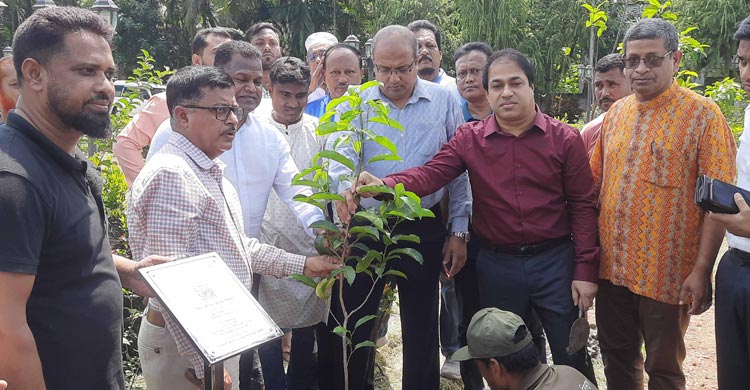 বাগেরহাটের ৯ শহীদের স্মরণে বৃক্ষরোপণ কর্মসূচি পালিত হয়েছে। শনিবার (১৯ জুলাই) বেলা ১১টায় জেলা প্রশাসন ও সুন্দরবন পূর্ব বিভাগের উদ্যোগে