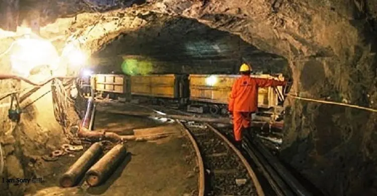 দিনাজপুরের পাথরখনি অনির্দিষ্টকালের জন্য বন্ধ ঘোষণা