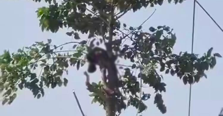 গাছের ডালে ঝুলছিল কিশোরের মরদেহ, নামালো ফায়ার সার্ভিস