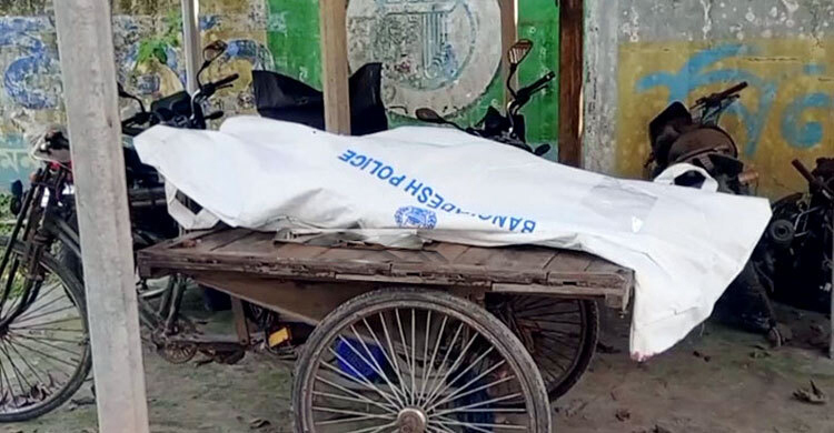 ভেবেছিলেন ব্যাঙ, সাপের কামড়ে প্রাণ গেলো প্রবাসীর স্ত্রীর